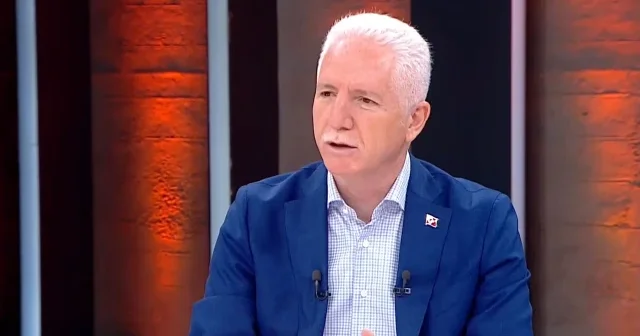 İstanbul Valisi Davut Gül ‘Yüzde 65’i toplandı’ diyerek duyurdu: Sahipsiz köpekler için tarih verildi VİDEO İZLE