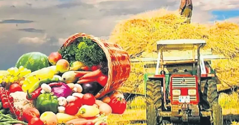 Tarımsal hasıla 83 milyar dolar
