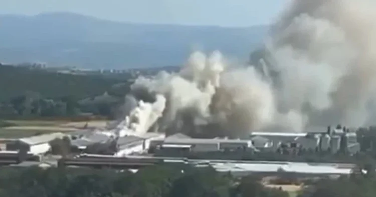 Tavuk çiftliğinde yangın: Ekipler müdahale ediyor
