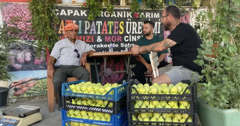 Hasat başladı! Tarlada 200 TL, pazarda 350 TL