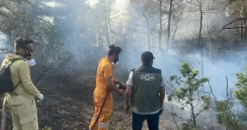 Bolu nun Göynük ilçesinde orman yangını
