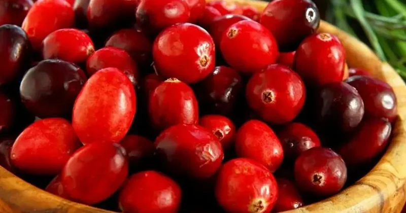 Asla eksik etmeyin: Kansere karşı koruyor! Vücudu temizliyor