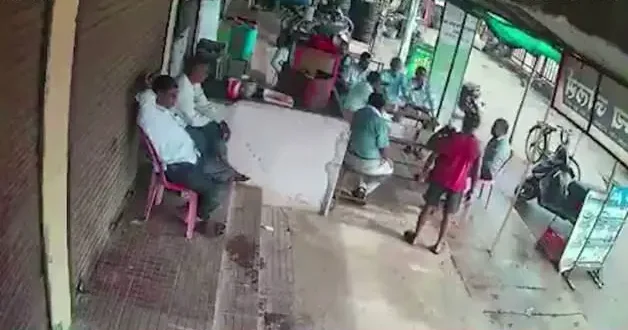 Öfkeli yaban domuzu çay ocağına daldı