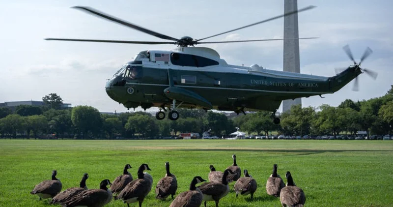 Trump ın helikopterinin kalkışı esnasında hava trafiğinin durdurulmamasının soruşturulduğu öne sürüldü Dış Haberler