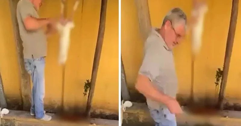 Okul bahçesinde tavşan kestiği görüntüler sanal medyada paylaşılan şüpheli gözaltına alındı