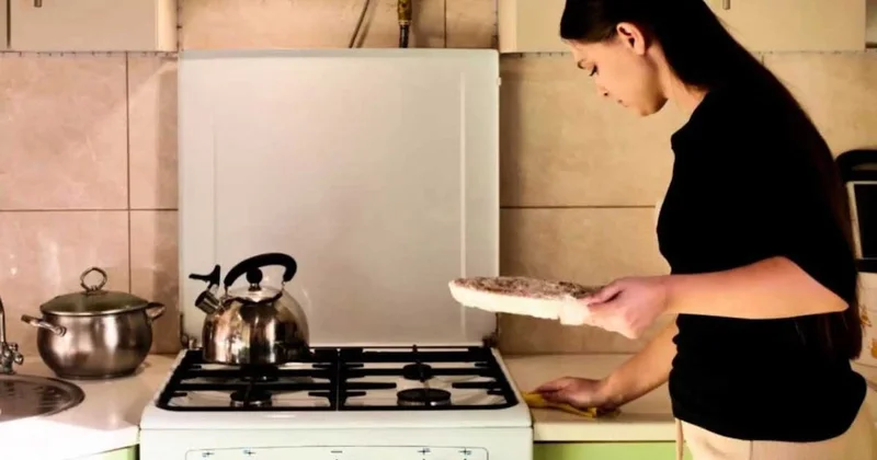 Bakterilerin en hızlı çoğaldığı yemek belli oldu: Ne tavuk ne de yumurta Sözcü Gazetesi