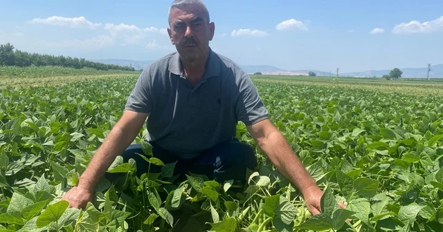 Bu köyde çiftçi sadece tarlasını hazırlıyor, gerisini kooperatif yapıyor Bursa Haberleri Habertürk Yerel Haberler