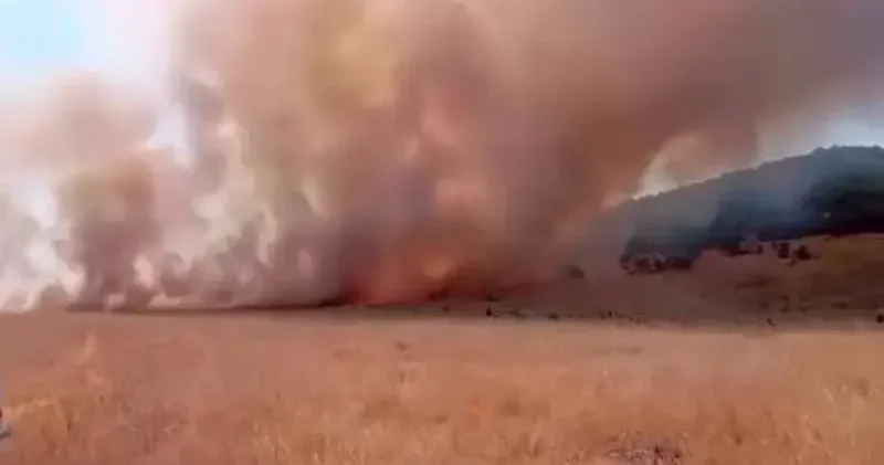 Tunceli de ot yangını; alevlerin ormana sıçramaması için seferber oldular