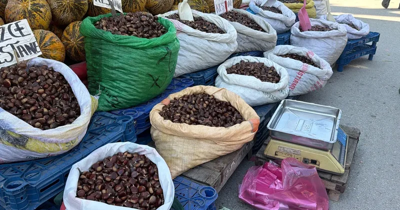 Havalar serinledi, kestane sezonu açıldı: Kilosu 400 liraya kadar çıkıyor!