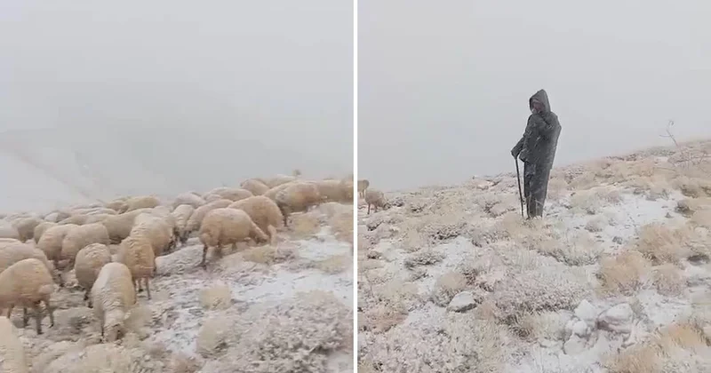 Tunceli Ovacık ta Yalmanlar Yaylası, ekim başındaki kar yağışıyla beyaza büründü.