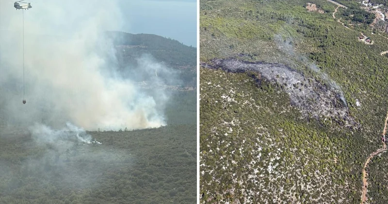 Bodrum da orman yangı! 2 uçak, 6 helikopter ve 102 personelle müdahale