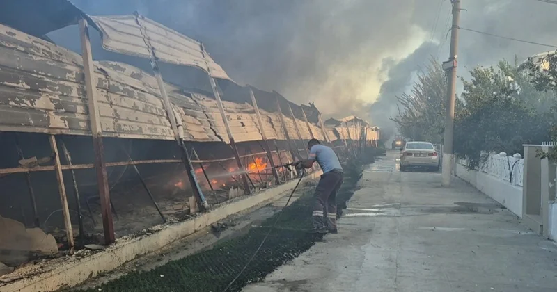 Kuşadası ndaki pazarda çıkan yangında patlamalar yaşandı, 3 saatte söndürüldü