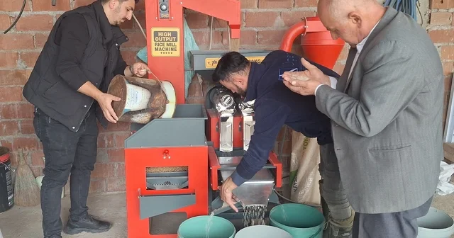 Bafra Ovası nda kurulan makinede çeltiğin randımanı tespit ediliyor Samsun Haberleri