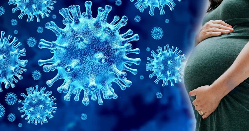 Gebelik döneminde COVID 19 olanlar dikkat: Çocukların gelişimini değiştiriyor Sözcü Gazetesi