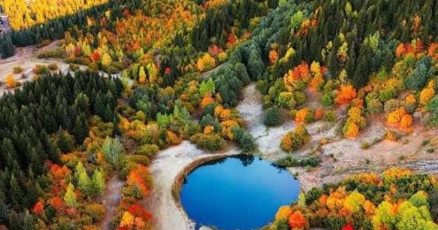 Sakin şehir Şavşat ta sonbaharda renk cümbüşü Artvin Haberleri