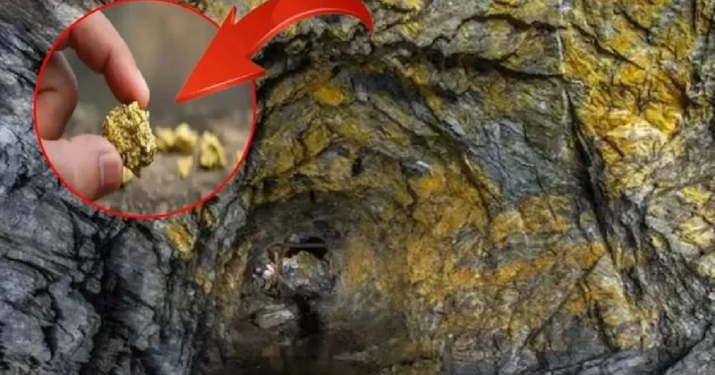 Dünyanın en derin 10 altın madeni: Yerin altına iniyorlar külçe külçe altın çıkarıyorlar Sözcü Gazetesi