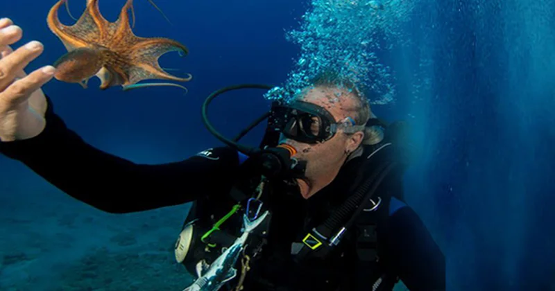 Bodrum’da ünlülerin dalış eğitmeni evinde ölü bulundu Sözcü Gazetesi