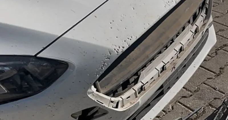 Sivas ta sokak köpekleri ilçenin kabusu oldu: Dişleriyle 108 bin TL lik zarar verdiler!