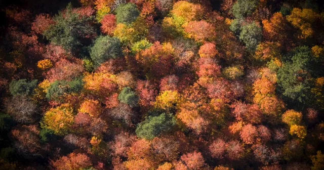 Bolu Mengen de sonbahar güzelliği Bolu Haberleri