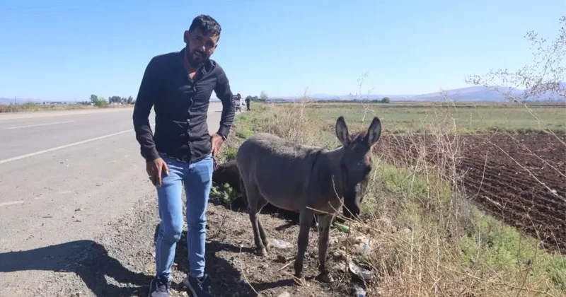 Yürek yakan anlar! Saatlerce annesinin başında ağladı