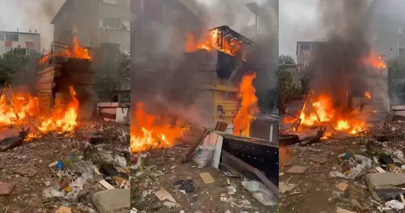 Çocukların oyunu yangına neden oldu: 50 hayvan öldü