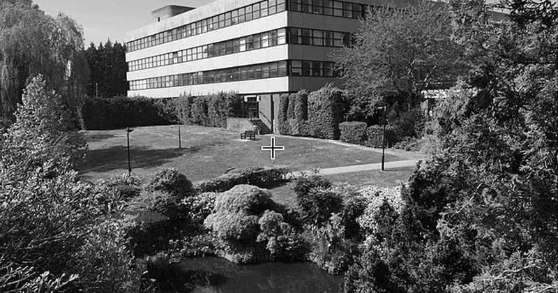 Doğru bakan saniyeler içinde renkli görüyor: Bilim insanlarının mükemmel oyunu Sözcü Gazetesi