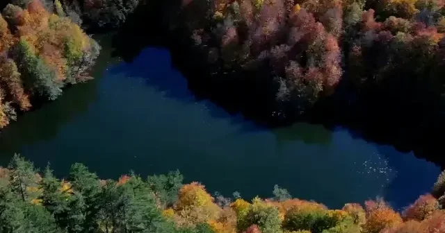 Yedigöller’de sonbahar şöleni büyüledi: Kartpostallık görüntüler oluşturdu VİDEO İZLE