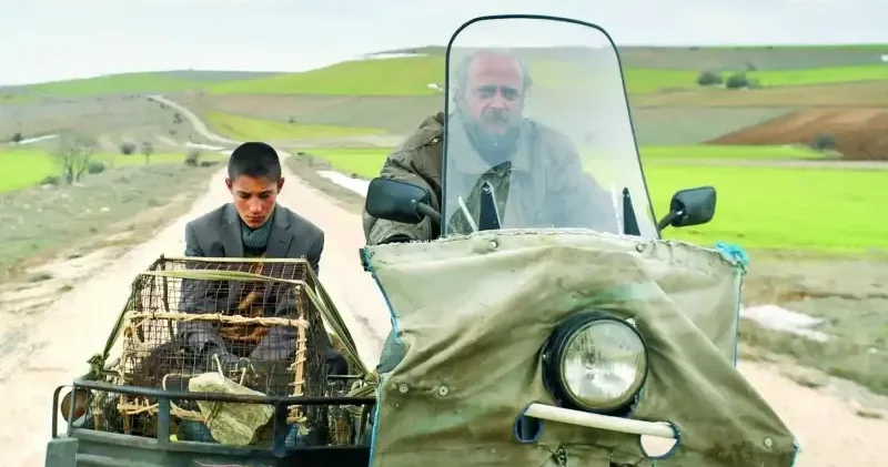 Evin yolunu bulamayan çocukların hikâyesi Kültür Sanat Haberleri