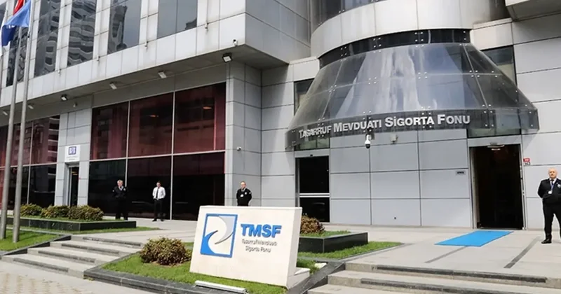 Kayyum atanan Hat Holding ne iş yapar?