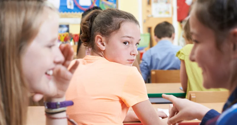 Akran zorbalığı komisyonu okulları ziyaret etti: Türkiye’de akran zorbalığı oranları çok yüksek