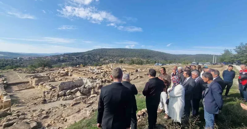 4 bin yıllık Hyllarima Antik Kentinde Zeytin hasadı