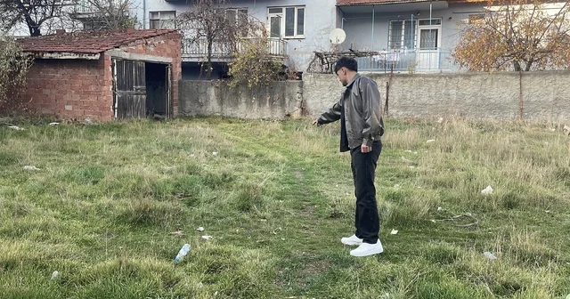 Eskişehir de boş arazide şiddete uğradıkları değerlendirilen 8 kedi ölüsü bulundu Eskişehir Haberleri