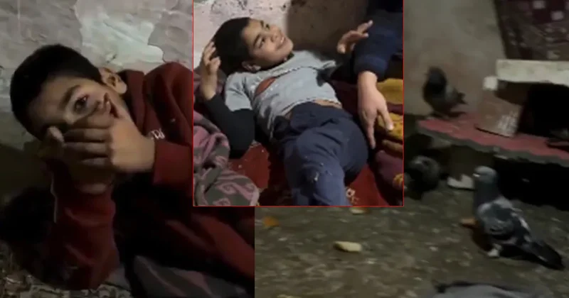 SON DAKİKA… Babası hayatını kaybetti annesi terk etti: Amcasının güvercin kümesinde tuttuğu Adnan için Bakanlık devrede!