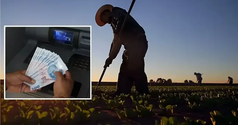 Ödemeler bugün çiftçilerin hesaplarına yatıyor: İşte ayrıntılar Ekonomi Haberleri