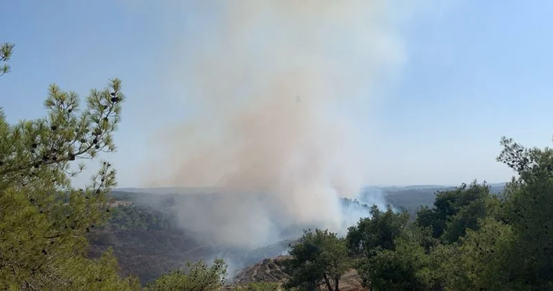 Son dakika: Adana haberleri: Orman kundakçısına 10 yıl hapis istemi Son dakika haberleri