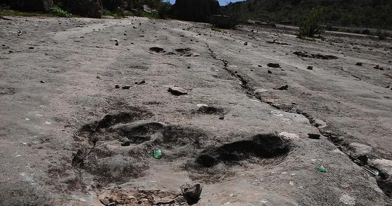 Dinozorlara ait 16 bin 600 ayak izi belgelendi Sözcü Gazetesi
