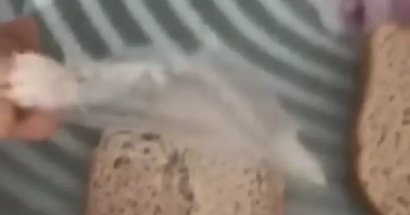 Elazığ’da ekmeğin içerisinden poşet çıktı