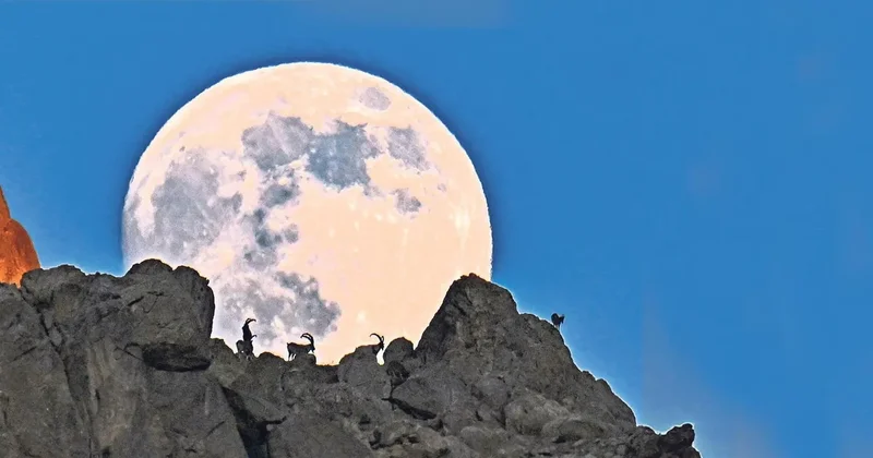 Son süper ay büyüledi