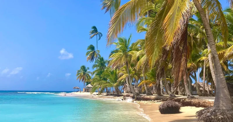 Ünlü gezgin o ülkeye gitmeyin diyerek uyardı: Cennet diye gittim cehennem çıktı Sözcü Gazetesi