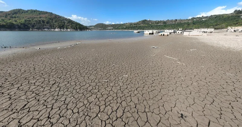 Toprak ile su kaybı geleceği doğrudan tehdit ediyor