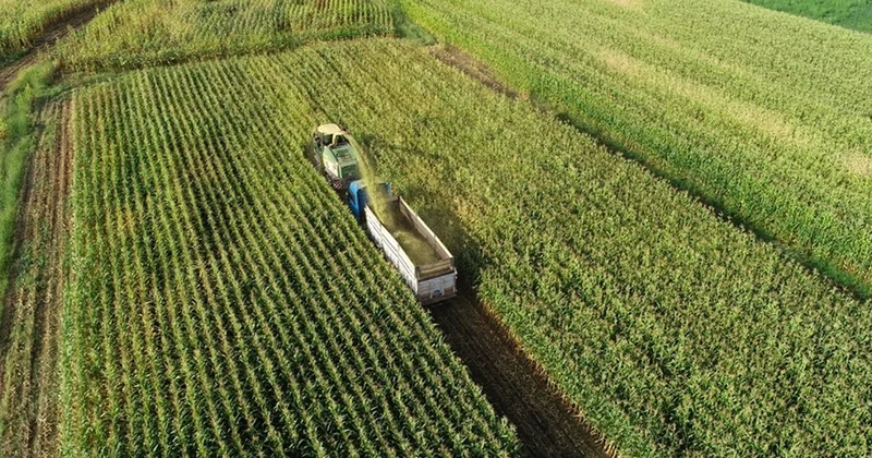 Çiftçilere 1,1 milyar liralık tarımsal destekleme ödemesi bugün yapılacak