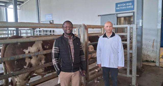 Kocaeli deki mezbaha tesisi İslam ülkelerine örnek gösterildi Kocaeli Haberleri