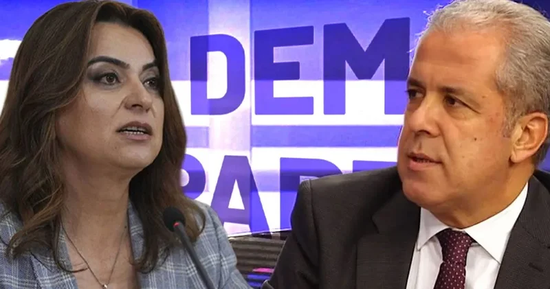 AKP li Şamil Tayyar Fazla kaşımayın diyerek DEM i uyardı: Sümen altı ettiğim notları yazsam...