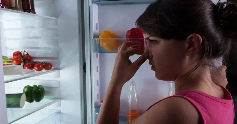 Buzdolabına koyulduğunda anında zehre dönüşüyor Sözcü Gazetesi