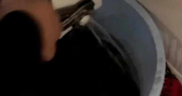 Petek temizliği yapmak isterken evi savaş alanına çevirdiler VİDEO İZLE