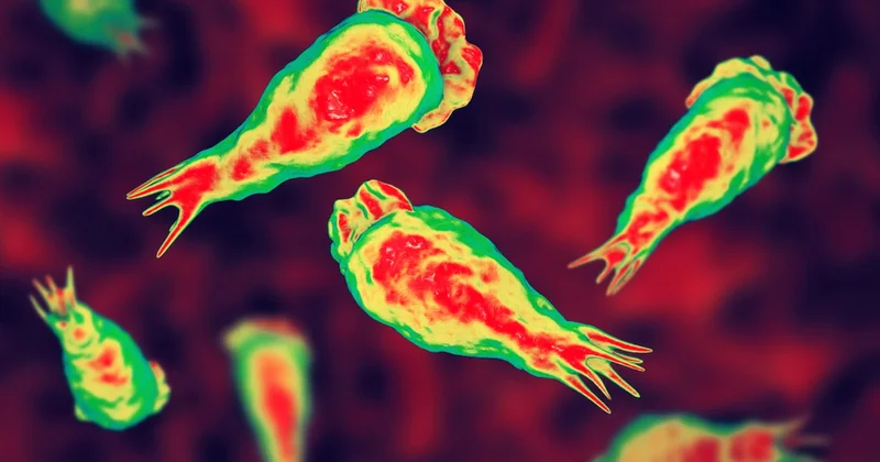 Acil uyarı geldi! Su altyapılarında Truva Atı tehlikesi: Klora bile dayanıyorlar... Sözcü Gazetesi