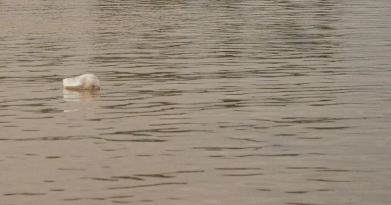 Endonezya yı sel vurdu: 10 un üzerinde ölü Sözcü Gazetesi