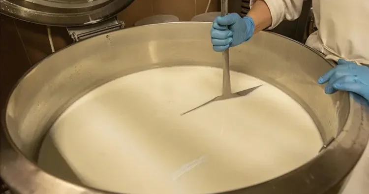 TÜSEDAD dan çiğ süte zam talebi