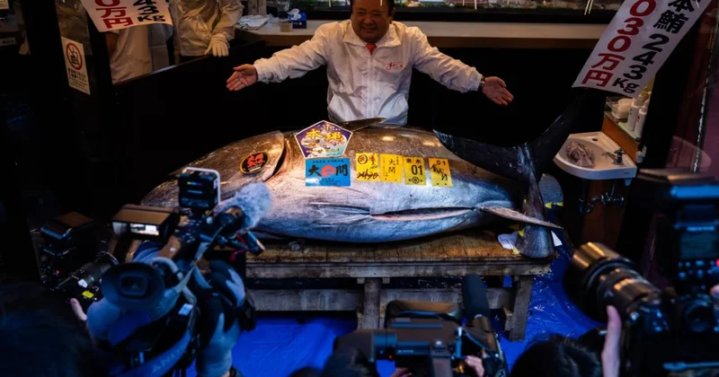 Bu balık açık artırmada 3,2 milyon dolara satıldı