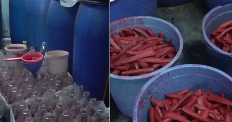 İmalathanede mide bulandıran görüntü! Zabıta bile isyan etti